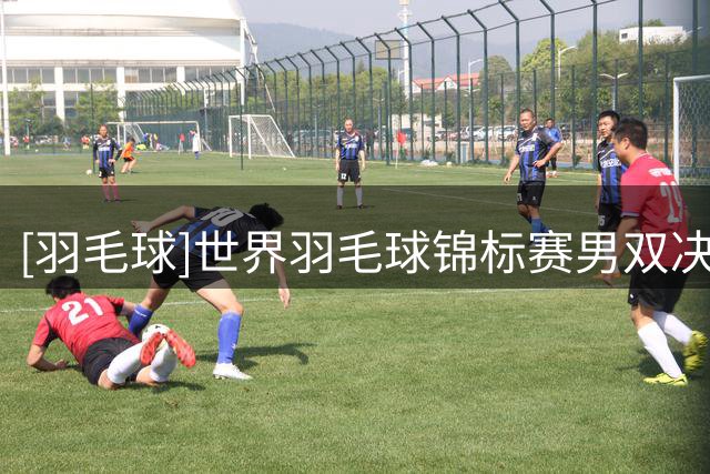 [羽毛球]世界羽毛球锦标赛男双决赛：梁伟铿/王昶VS谢定峰/苏伟译 集锦